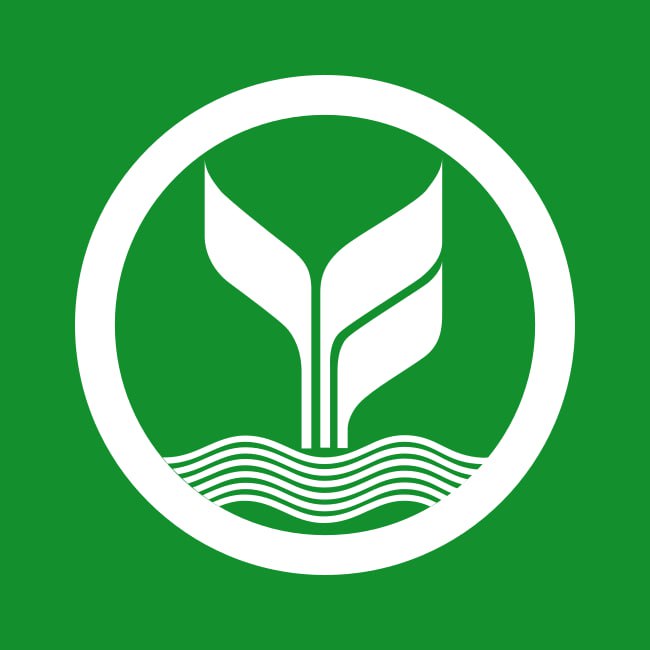 slotxo
