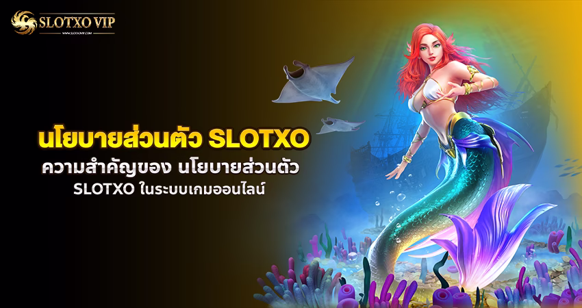 นโยบายส่วนตัว SLOTXO